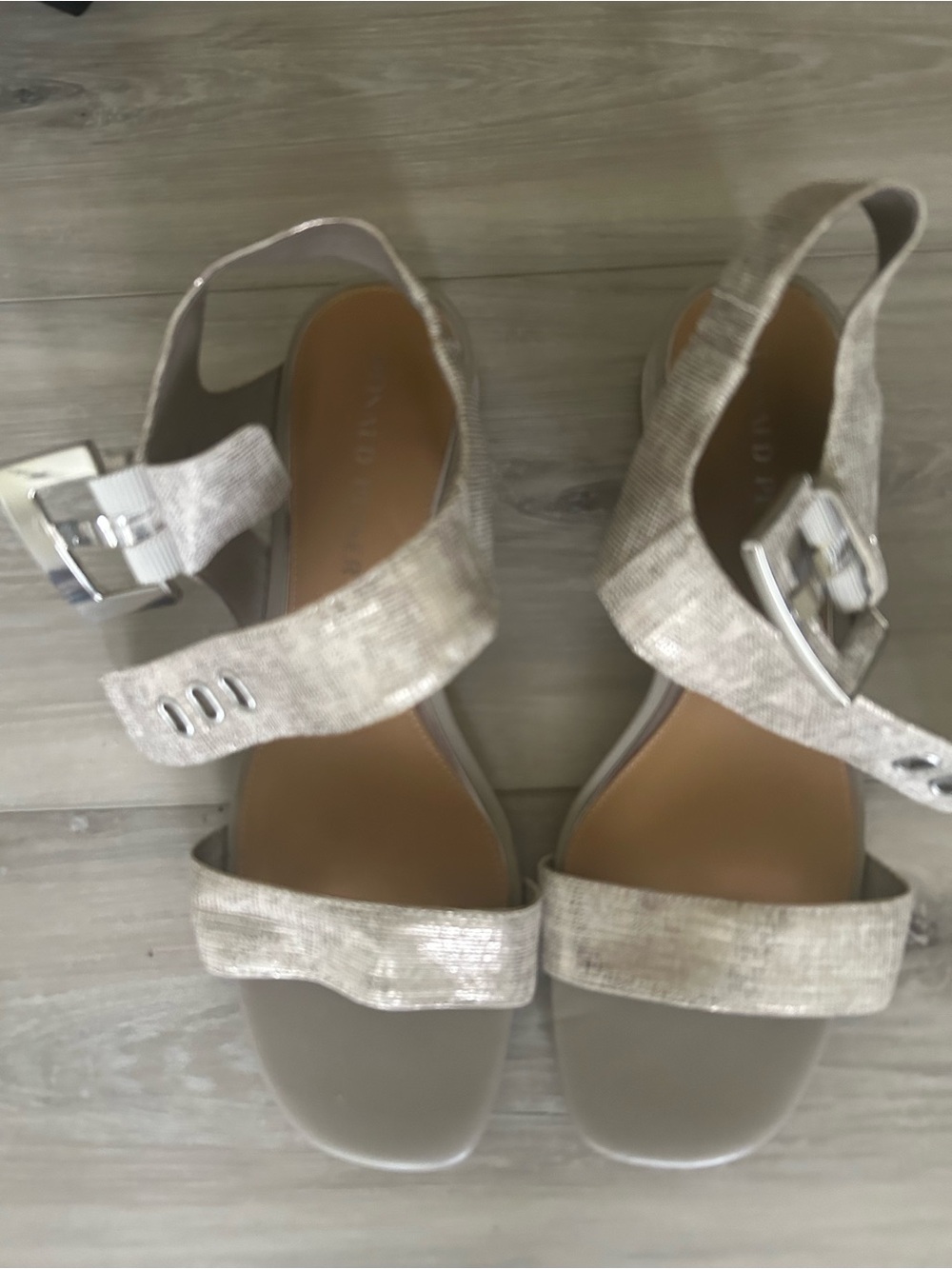 Donald Pliner Silver Shimmer Block Heel Sandal